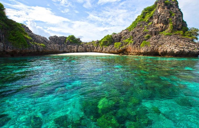 Excursión de un día a Koh Rok y Koh Haa - Foto 1